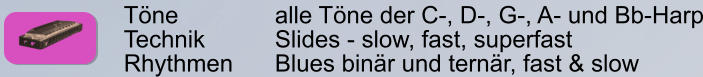 Tne        		alle Tne der C-, D-, G-, A- und Bb-Harp Technik     	Slides - slow, fast, superfast Rhythmen    	Blues binr und ternr, fast & slow